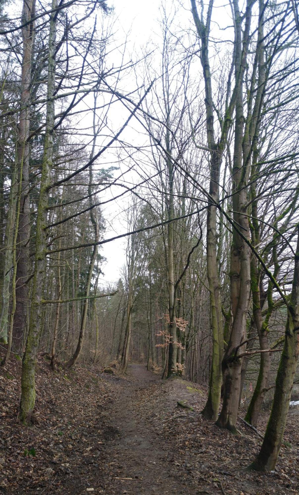 Gdanska Panorama Niedzwiadka Leilighet